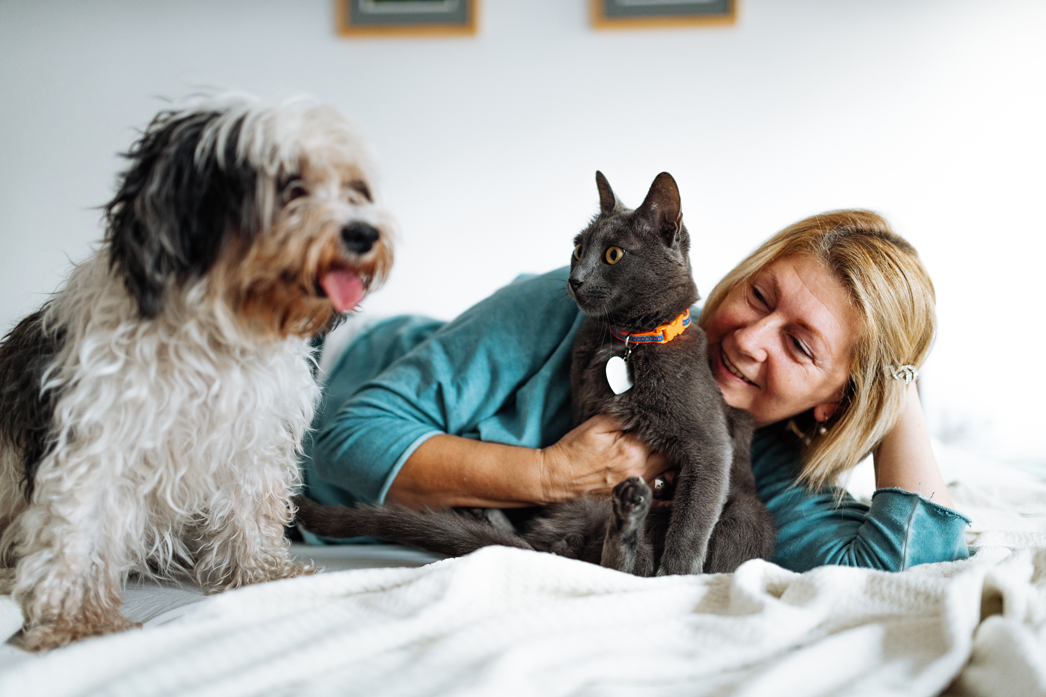 Woman with dog and cat wearing collar with id tags