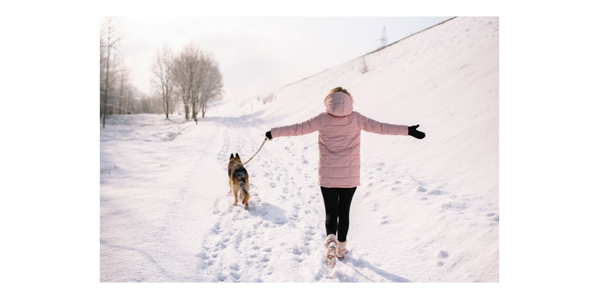 Winter dog walk hacks