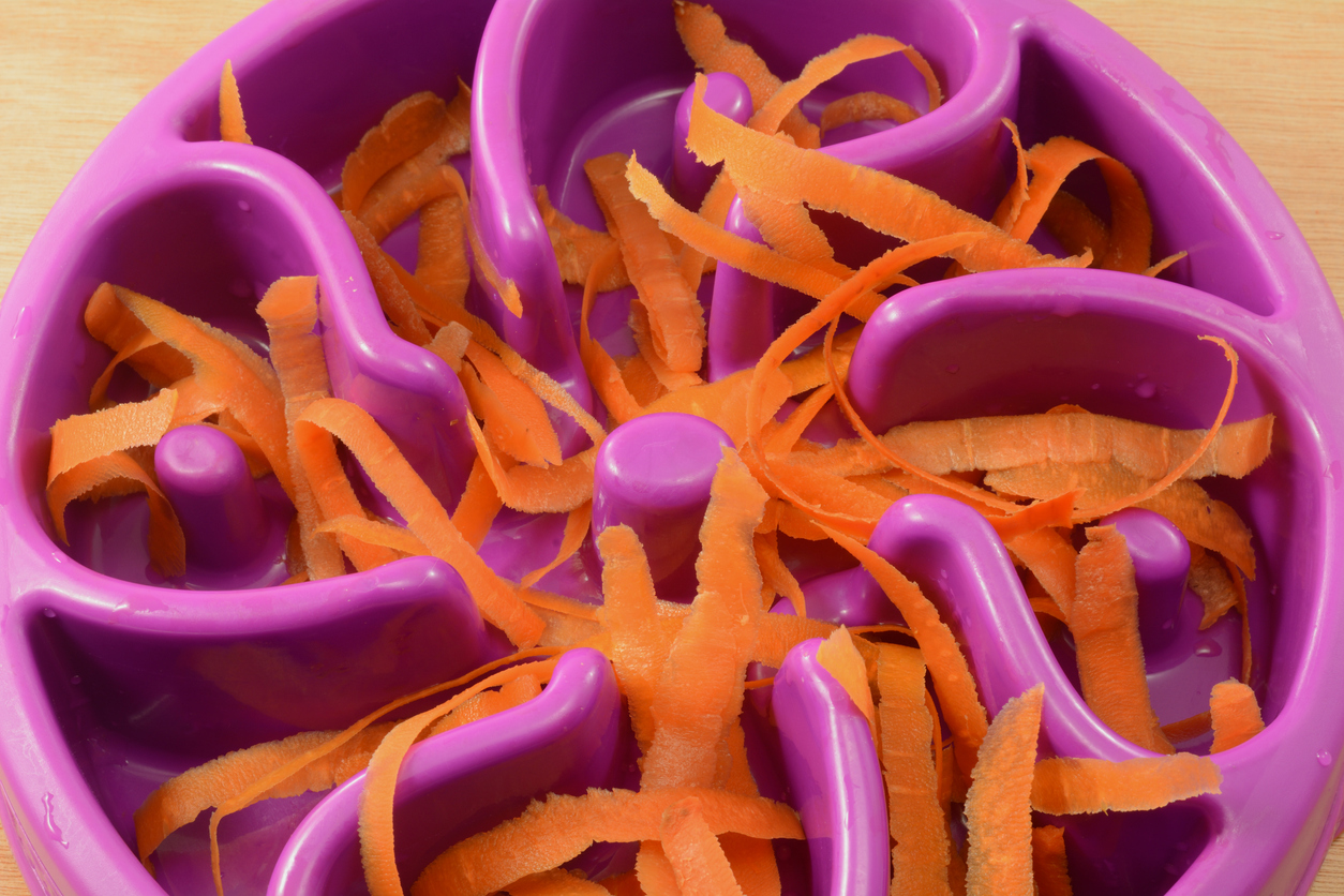 Thinly shredded carrots in a purple dog slow feeder bowl