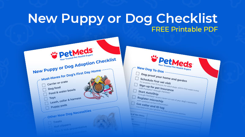 The PetMeds Everything Guide To Your New Puppy or Dog