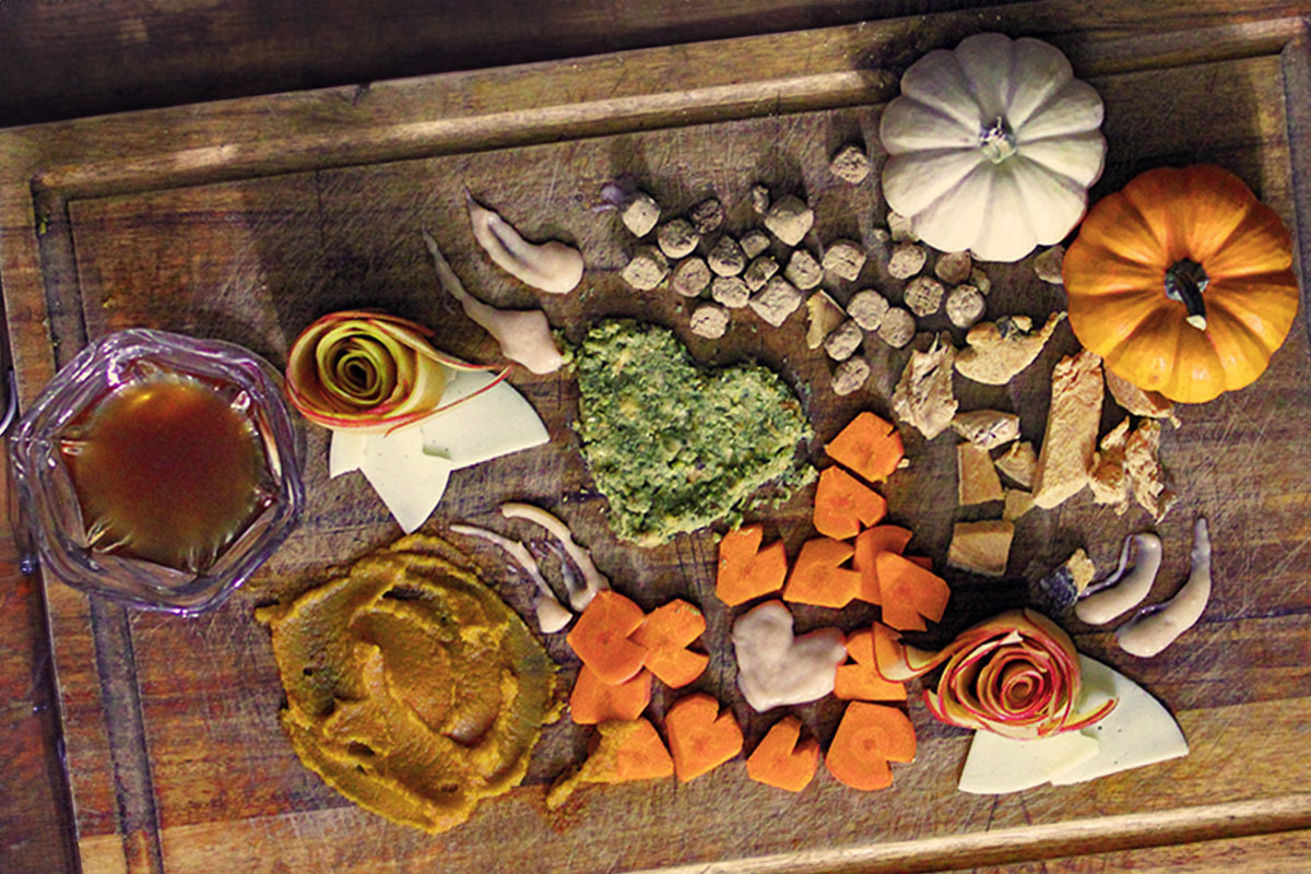Overhead view of charcuterie board filled with cat and dog treats, bone broth, fresh fruit, and pet foods.