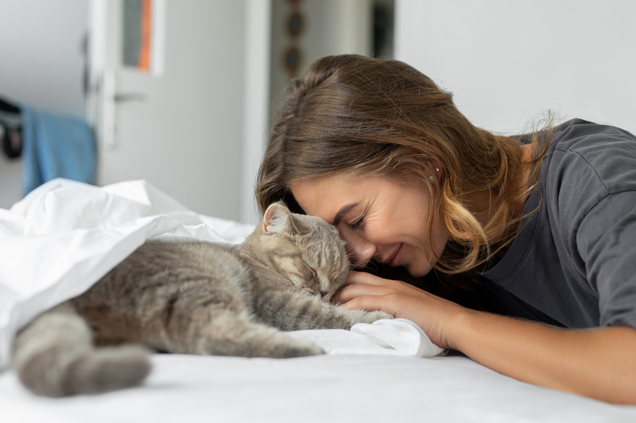 Grey tabby cat sleeping and cuddling with pet parent. 