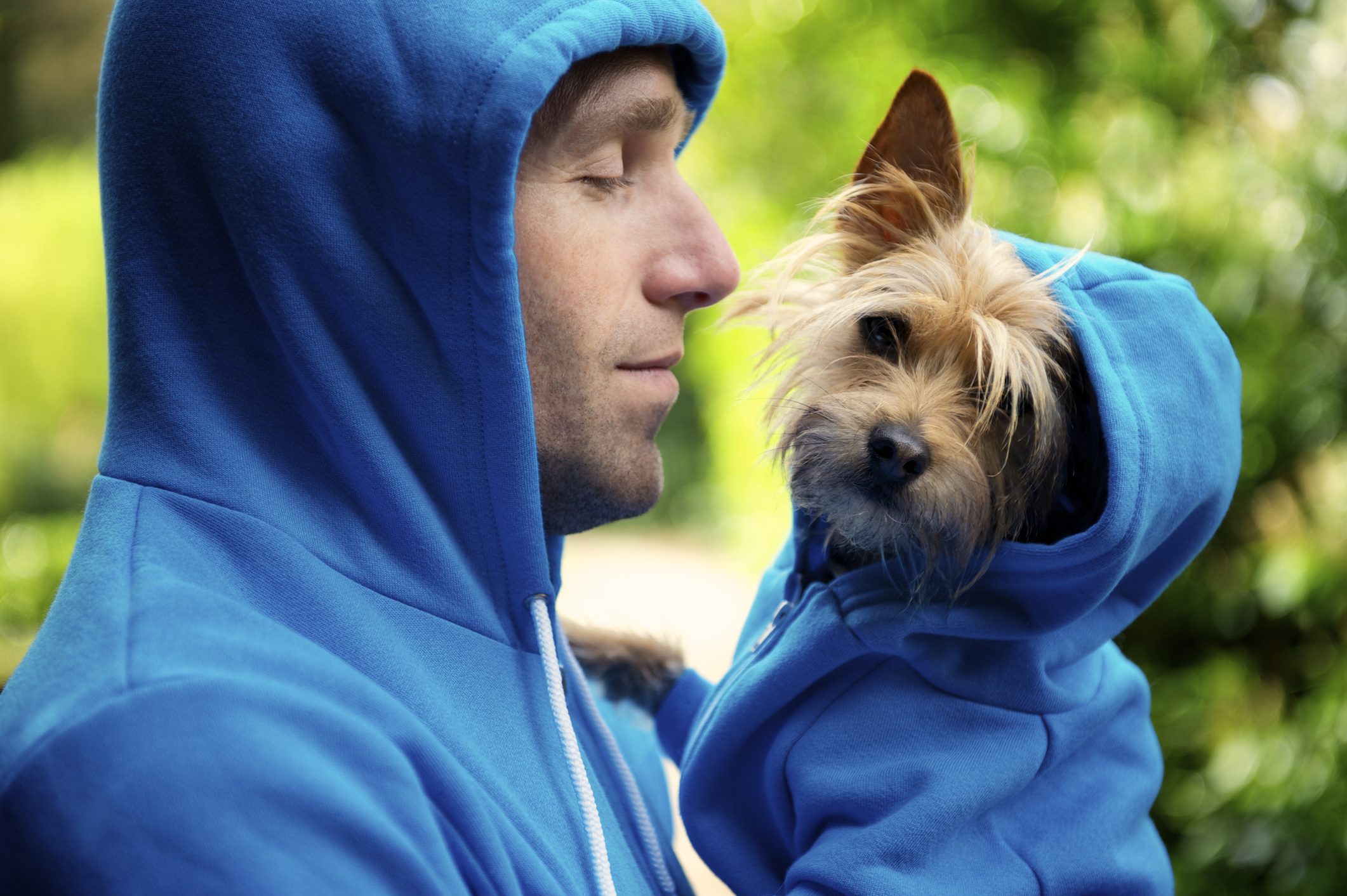 Man and his yorkie mix celebrate Dog Dad’s Day outdoors in matching blue hoodies