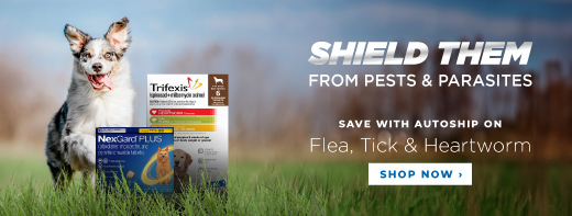 Save 40% OFF Flea, Tick & Heartworm Products