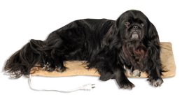 K&H Thermo-Pet Mat Heated Dog Pad Usage