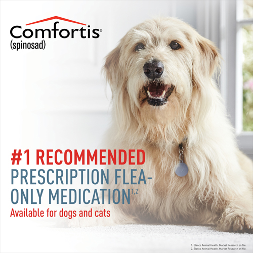 Comfortis is the #1 recommended Rx Flea-only medication for dogs and cats