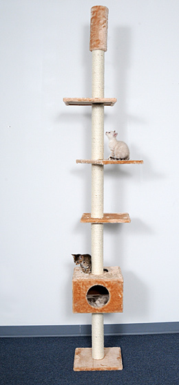 Whisker World Stairway To Heaven Cat Tree Usage