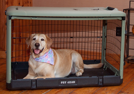 Pet Gear "The Other Door" Super Crate With Pad - Sage Usage