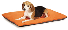 Insect Shield Insect Repellent Reversible Pet Bed Usage