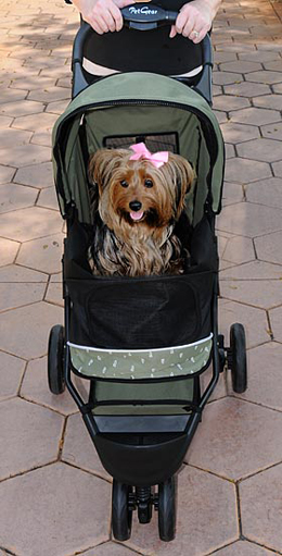 Special Edition Pet Stroller Usage